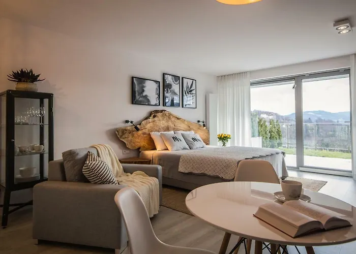 דירה Apartwisla ויסלאו